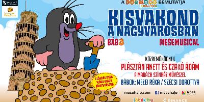 Kisvakond a nagyvrosban