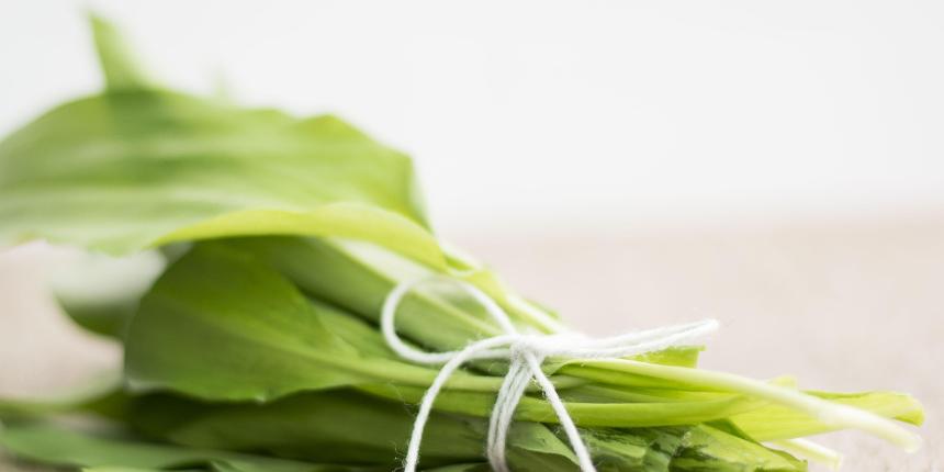 “L�p�sel�nyben az eg�szs�g�nk�rt” Medvehagyma-,  �s Tavaszi Eg�szs�gnap