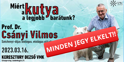 Mirt a kutya a legjobb bartunk?