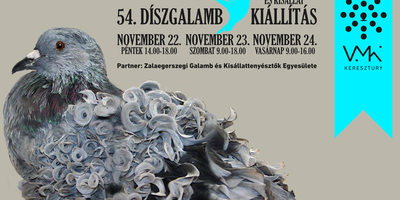 54. Dszgalamb- s kisllat killts