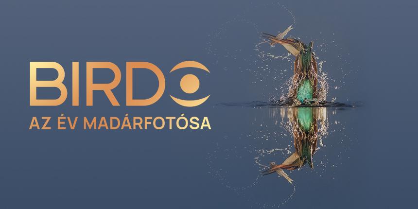 Birdo - az v madrfotsa vndorkillts