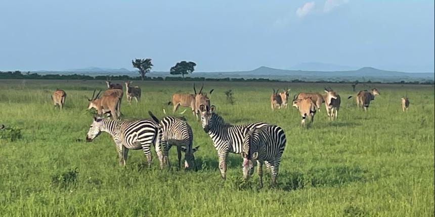 Vil�gj�r� - Tanz�nia