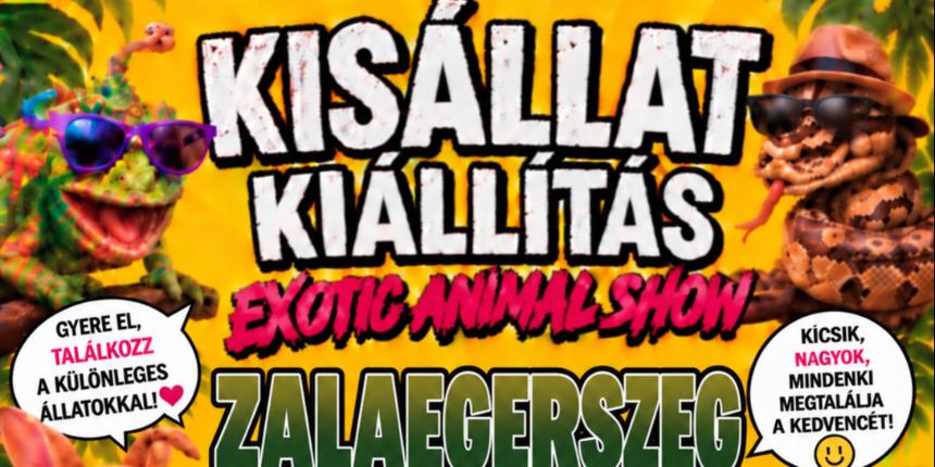Kis�llat Ki�ll�t�s - Exotic Animal Show